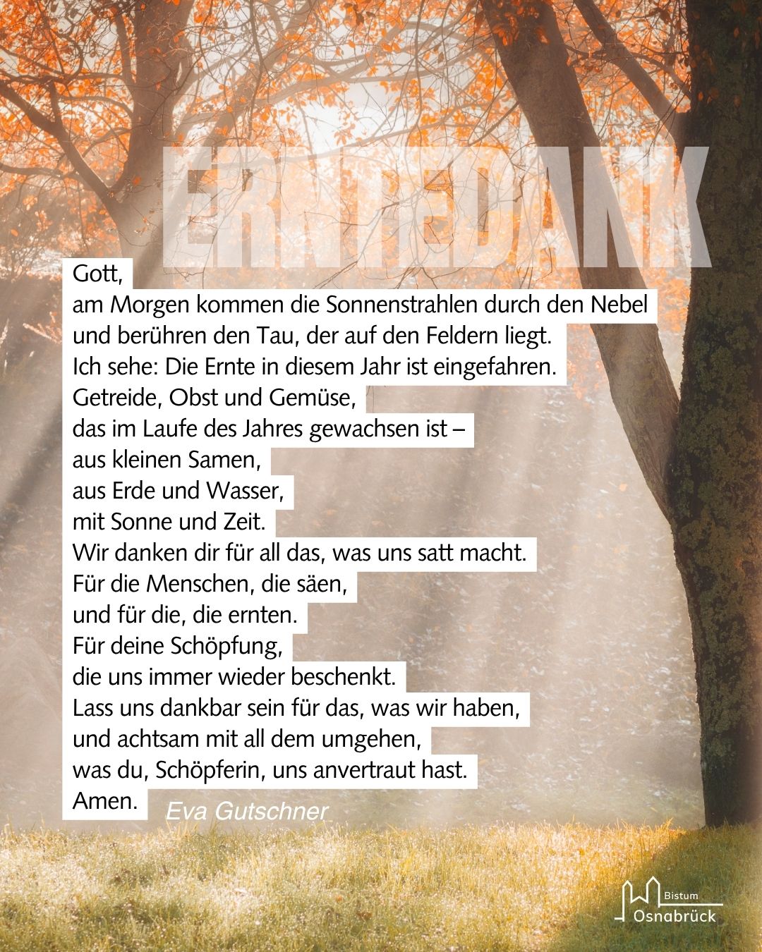 Ein Beitrag aus unserem Instagram Kanal. Veröffentlicht vor 2 Stunden