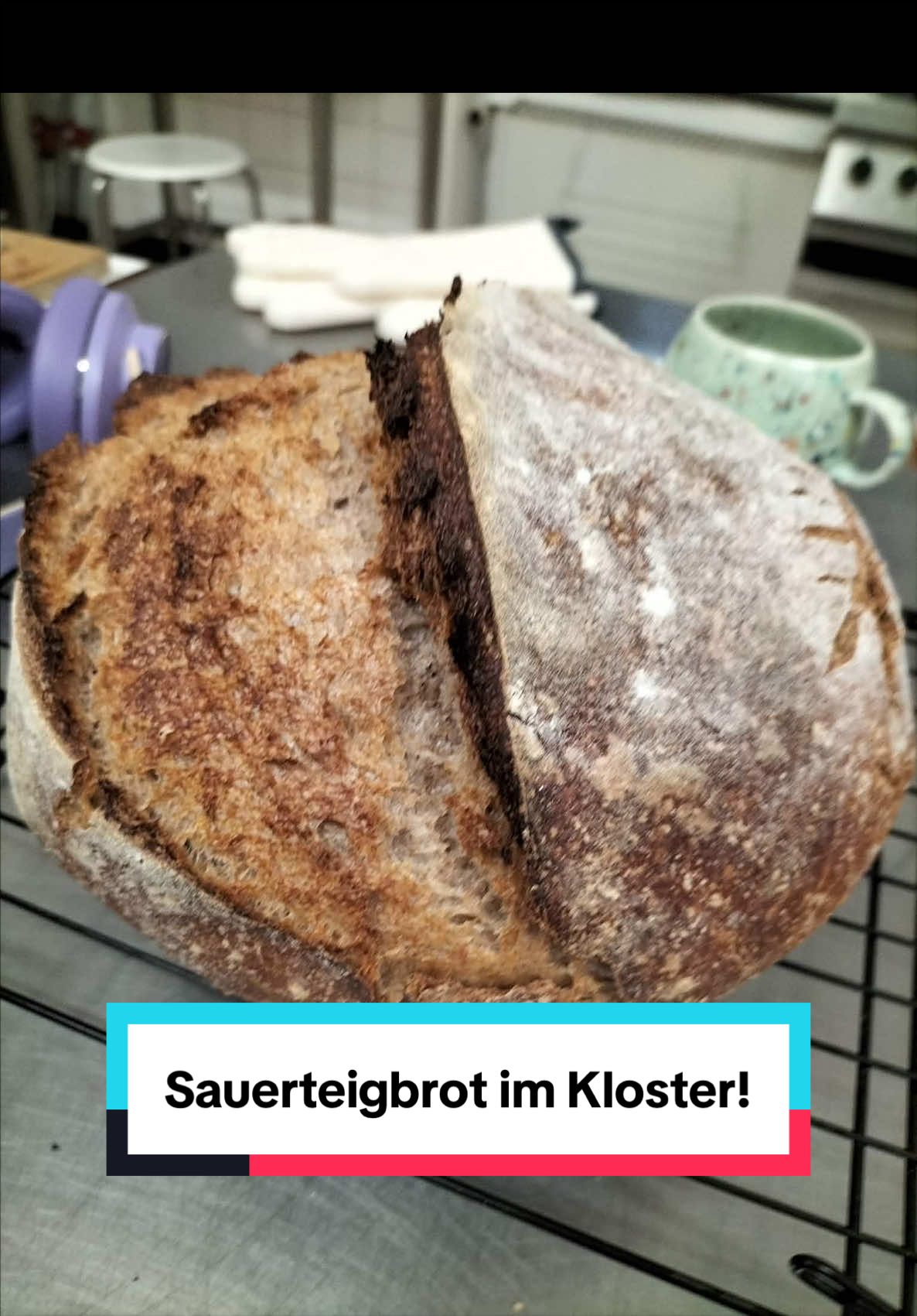 Ein Beitrag aus unserem TikTok Kanal. Veröffentlicht vor 1 Tag